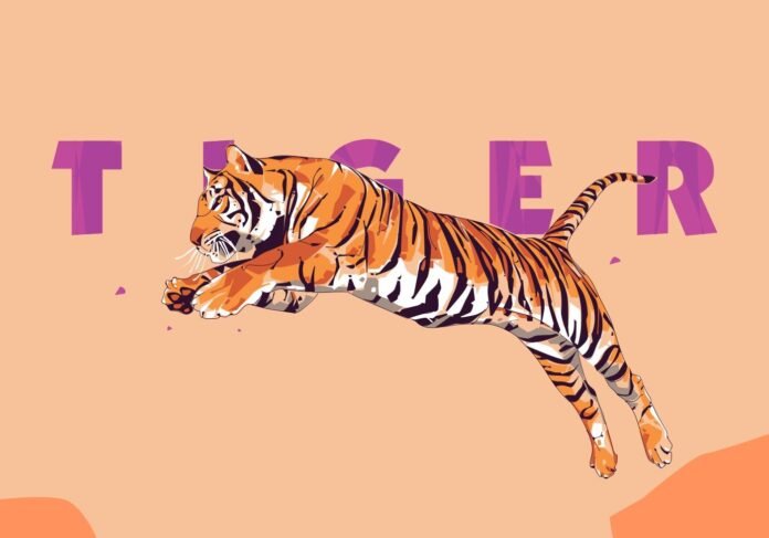 vector tiger popart portrait vector tiger popart portrait