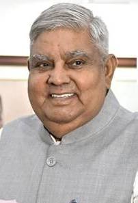 vice president vice president