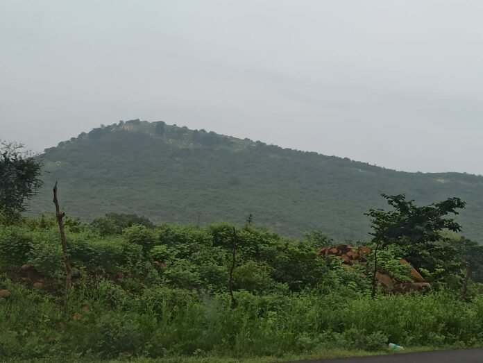 arawali arawali