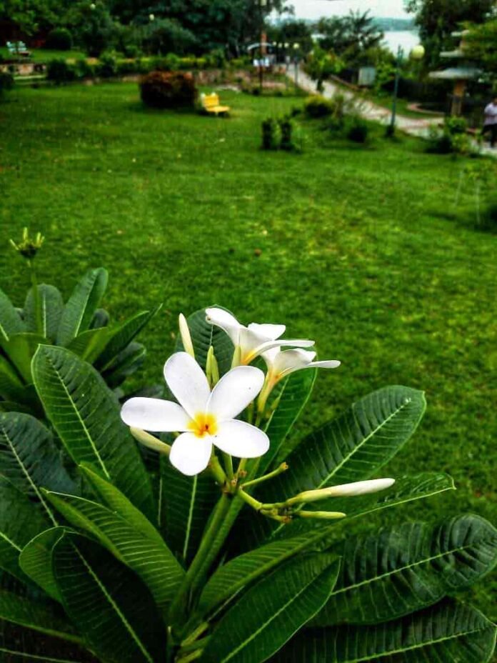 chambal gardan chambal gardan
