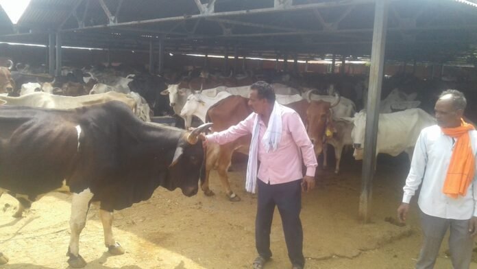 jeetu jeetu