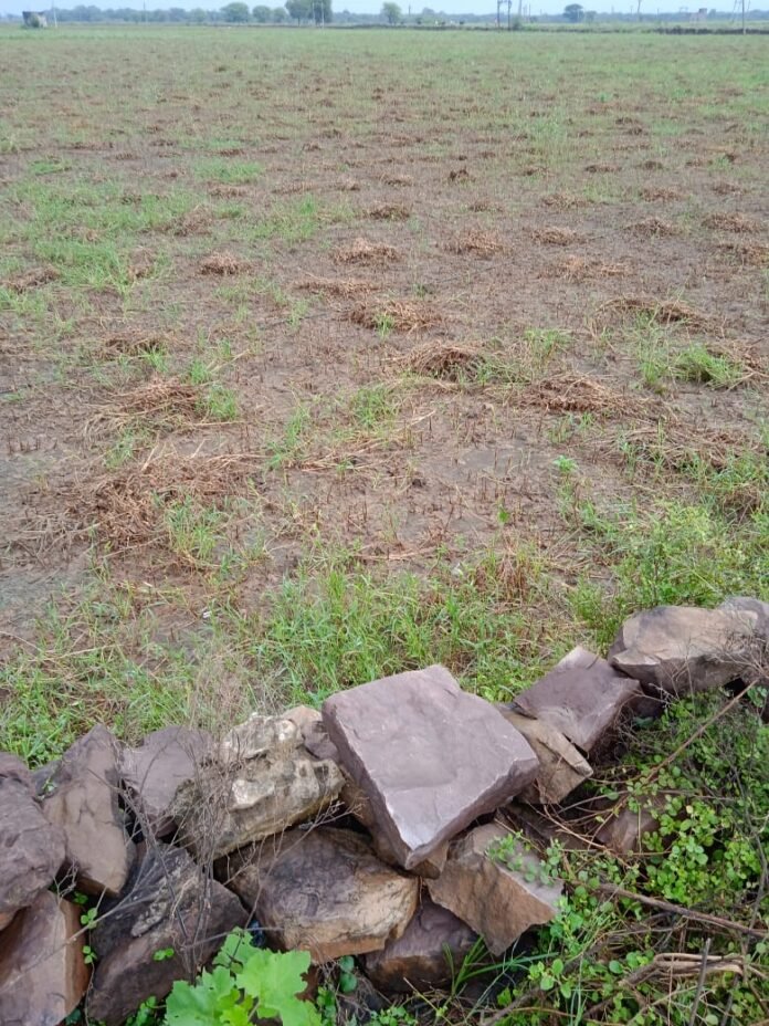 khet khet