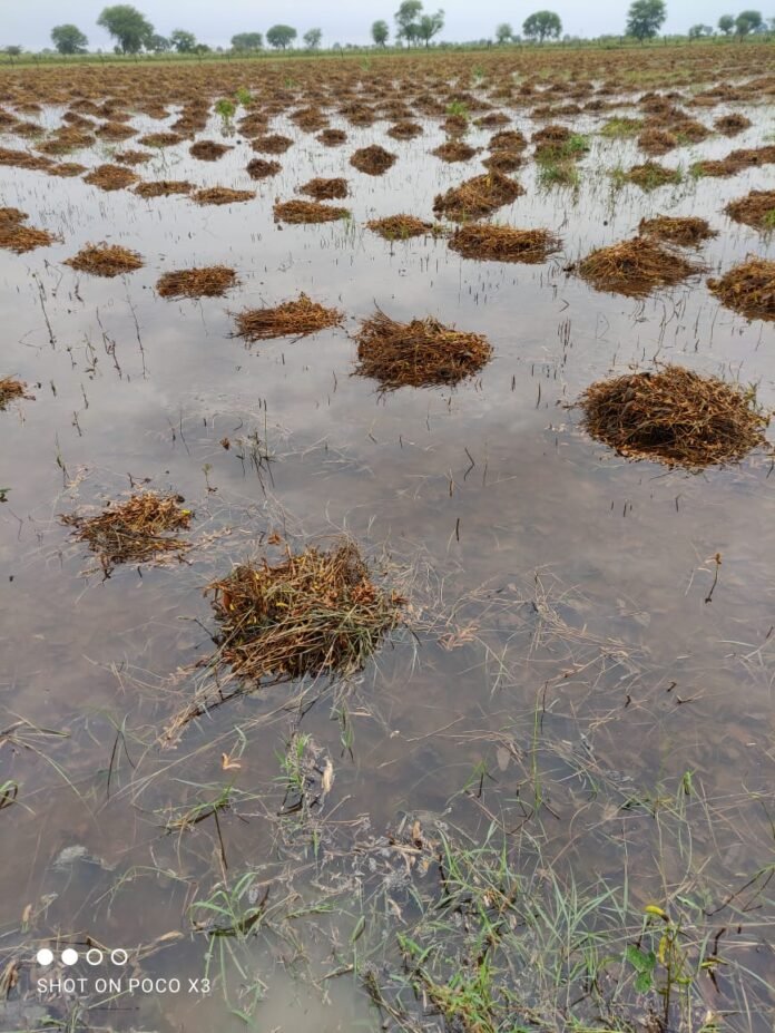 kheton me bhara pani kheton me bhara pani