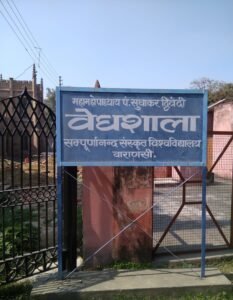 whatsapp image 2022 10 19 at 06.39.39