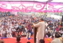 राजस्थान कांग्रेस की ‘गुर्जर चौकड़ी’: 2028 की सत्ता की चाबी या अंदरूनी टकराव का कारण? gunjal