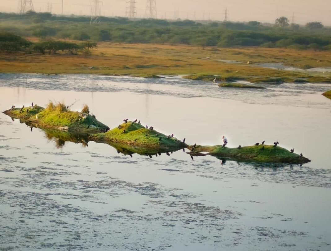 jawahar sagar talab nanta kota
