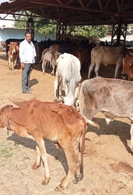 nagarnigam goshala