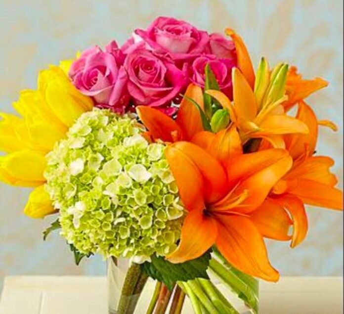 bunch of flower bunch of flower