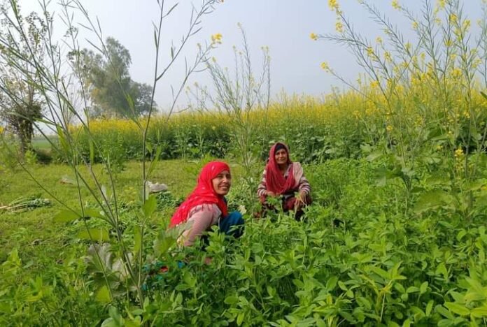 karothowal karothowal