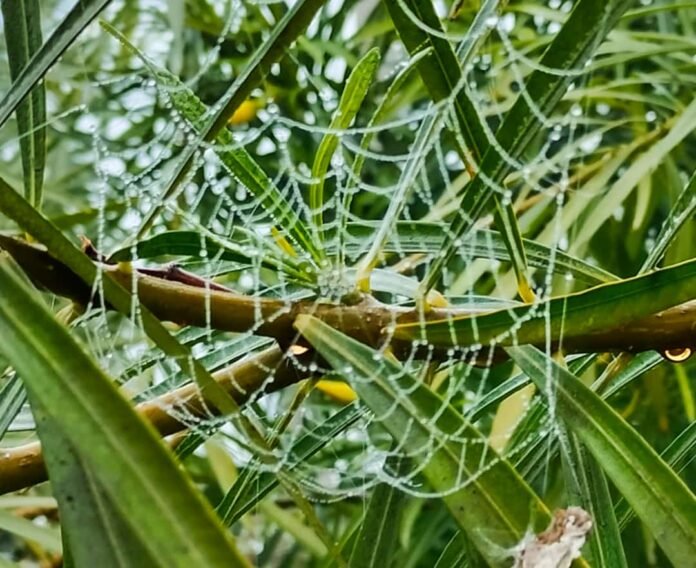 whatsapp image 2023 01 05 at 09.35.00 (1)