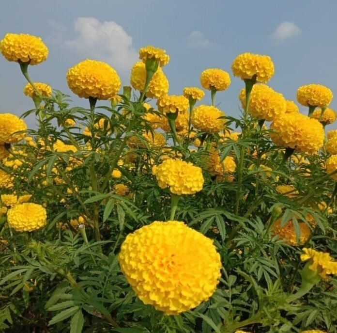 whatsapp image 2023 01 25 at 21.32.20