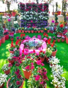 flower show