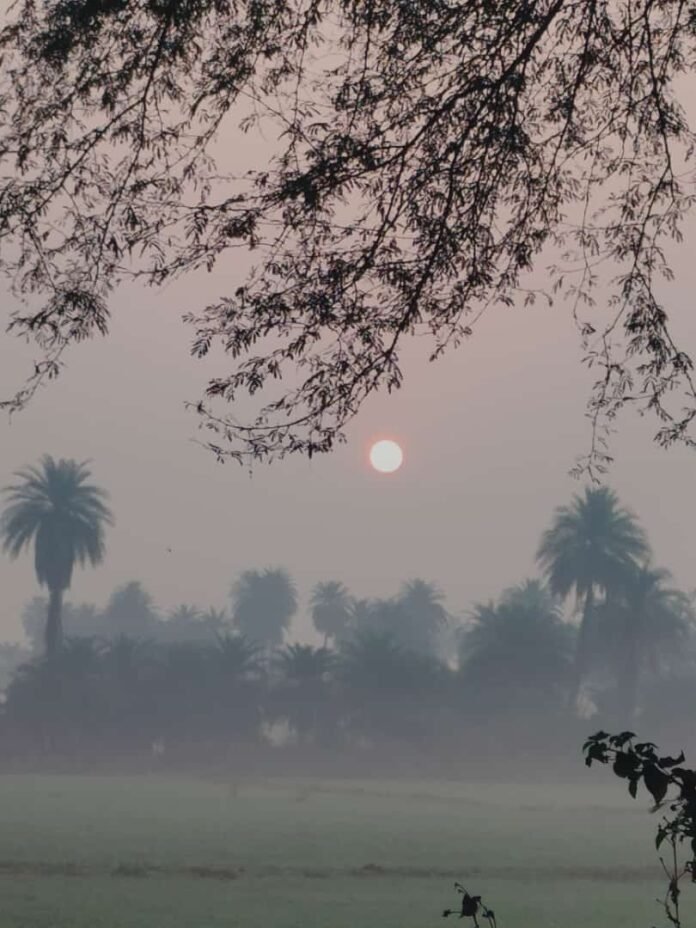 fog 3 fog 3