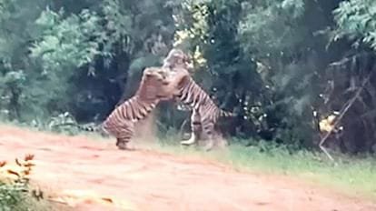 whatsapp image 2023 02 13 at 19.44.34 whatsapp image 2023 02 13 at 19.44.34