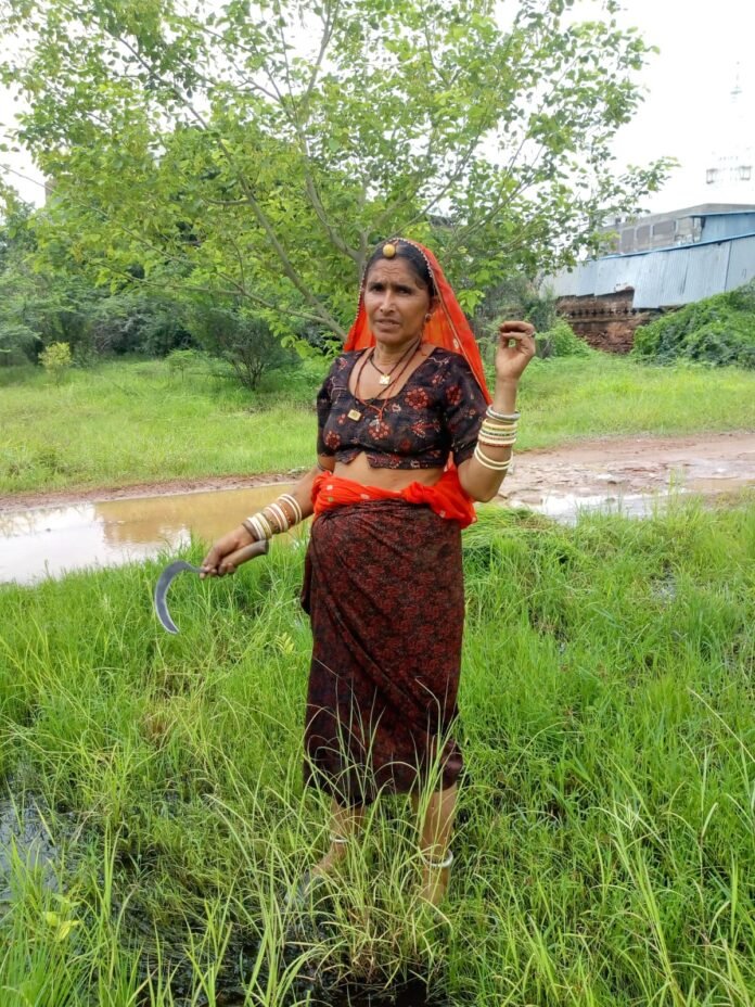 akiwomen akiwomen