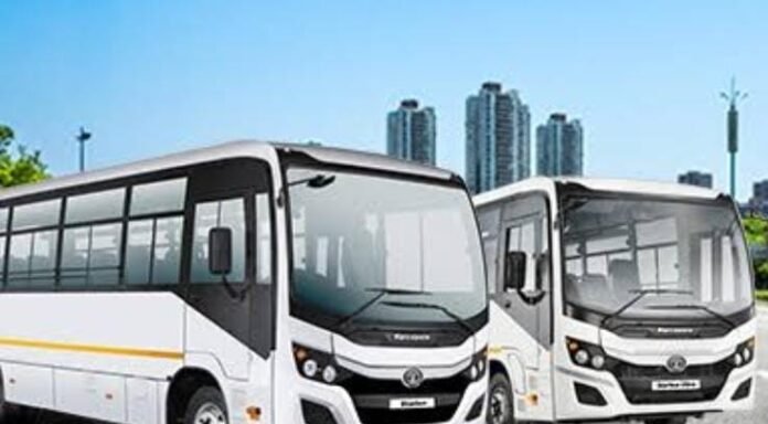 bus bus