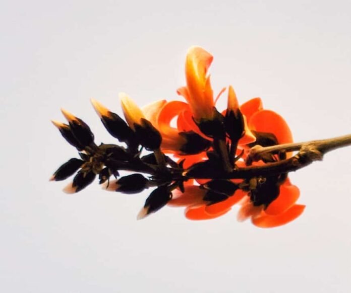 whatsapp image 2023 03 03 at 09.24.00 (1)