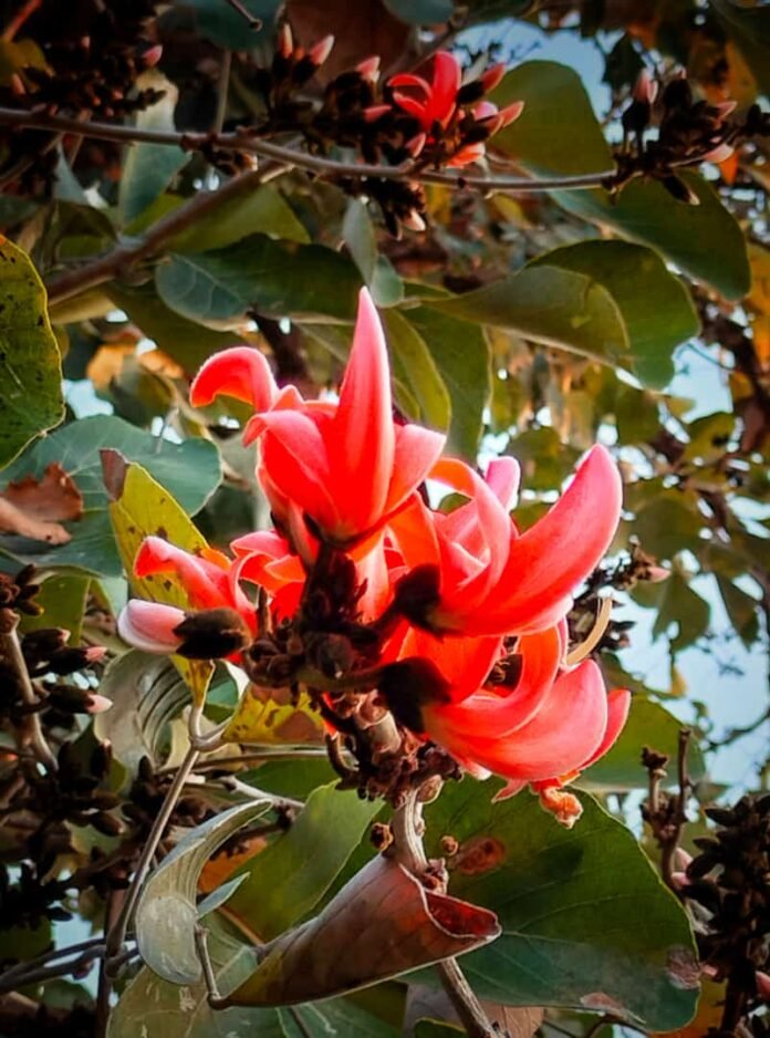 whatsapp image 2023 03 03 at 09.24.00