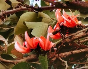 whatsapp image 2023 03 03 at 09.24.01 (1)