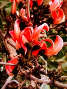 whatsapp image 2023 03 03 at 09.24.01