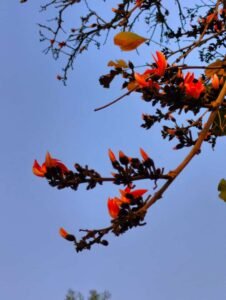 whatsapp image 2023 03 03 at 09.24.02