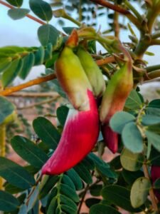 whatsapp image 2023 03 05 at 08.47.18 (1)