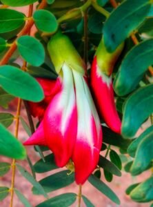 whatsapp image 2023 03 05 at 08.47.18