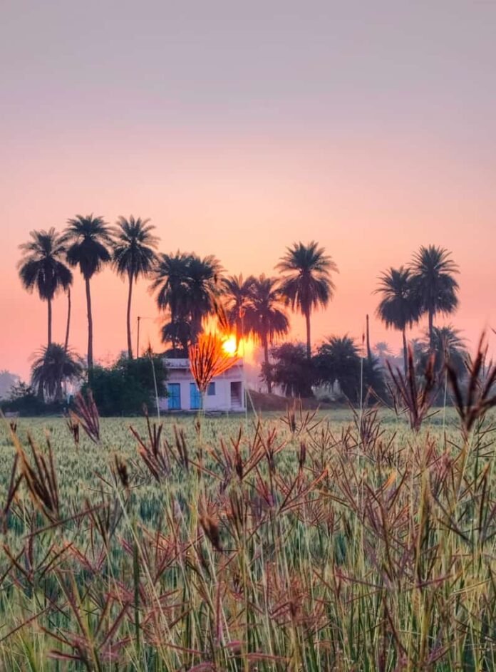 whatsapp image 2023 03 11 at 09.08.21