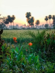 whatsapp image 2023 03 11 at 09.08.22 (1)