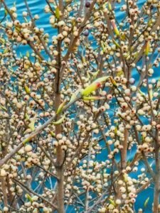 whatsapp image 2023 03 13 at 09.21.00