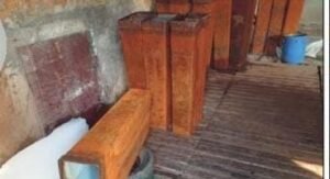 whatsapp image 2023 03 13 at 11.00.48