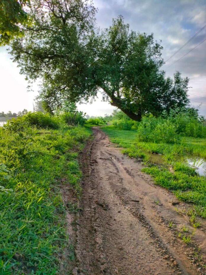 whatsapp image 2023 08 13 at 11.48.13