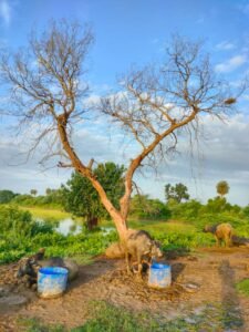 whatsapp image 2023 08 13 at 11.48.14