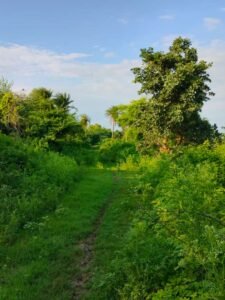 whatsapp image 2023 08 13 at 11.48.15 (1)