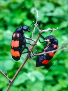 whatsapp image 2023 08 18 at 08.51.01 (2)