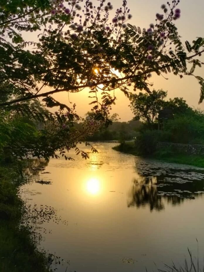 whatsapp image 2023 09 03 at 09.14.30