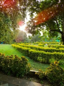 whatsapp image 2023 09 04 at 09.08.19 (1)