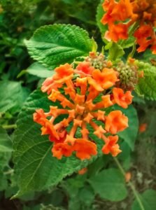 whatsapp image 2023 09 04 at 09.08.20