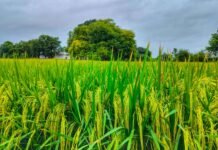 whatsapp image 2023 09 18 at 08.51.46