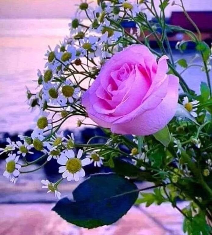 whatsapp image 2023 09 21 at 10.23.40 whatsapp image 2023 09 21 at 10.23.40