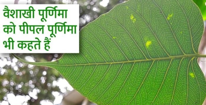 vaishakhi purnima 2022 1280x720xt vaishakhi purnima 2022 1280x720xt