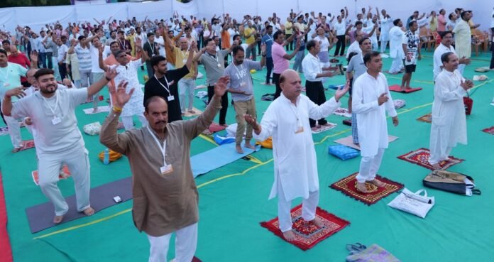 whatsapp image 2024 05 16 at 18.11.59