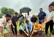 whatsapp image 2024 08 25 at 19.03.07