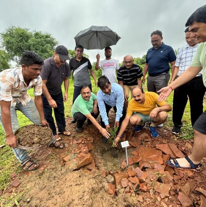 whatsapp image 2024 08 25 at 19.03.07