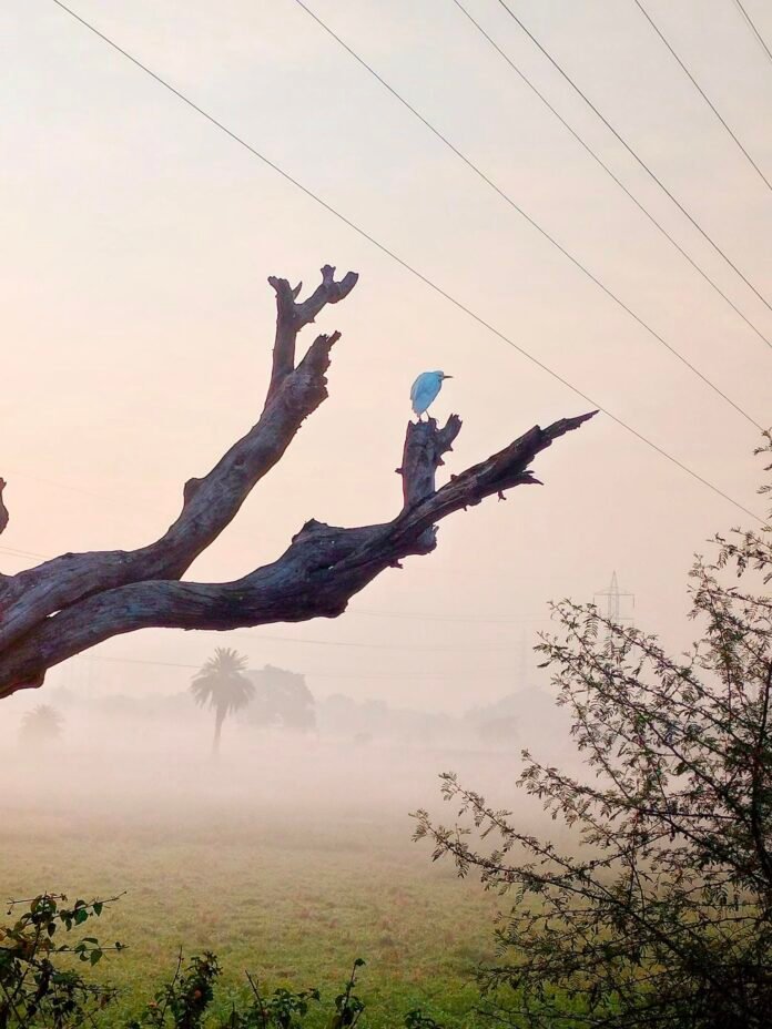 497518783 9812011482214185 6004162193179666410 n 497518783 9812011482214185 6004162193179666410 n