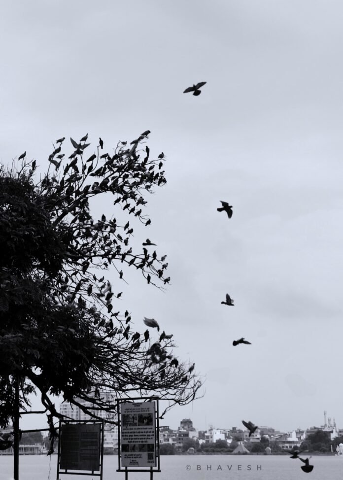 981158a8 d30d 4b74 8993 02f9758fb72e 981158a8 d30d 4b74 8993 02f9758fb72e