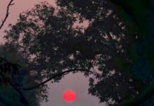 whatsapp image 2025 12 24 at 09.49.15