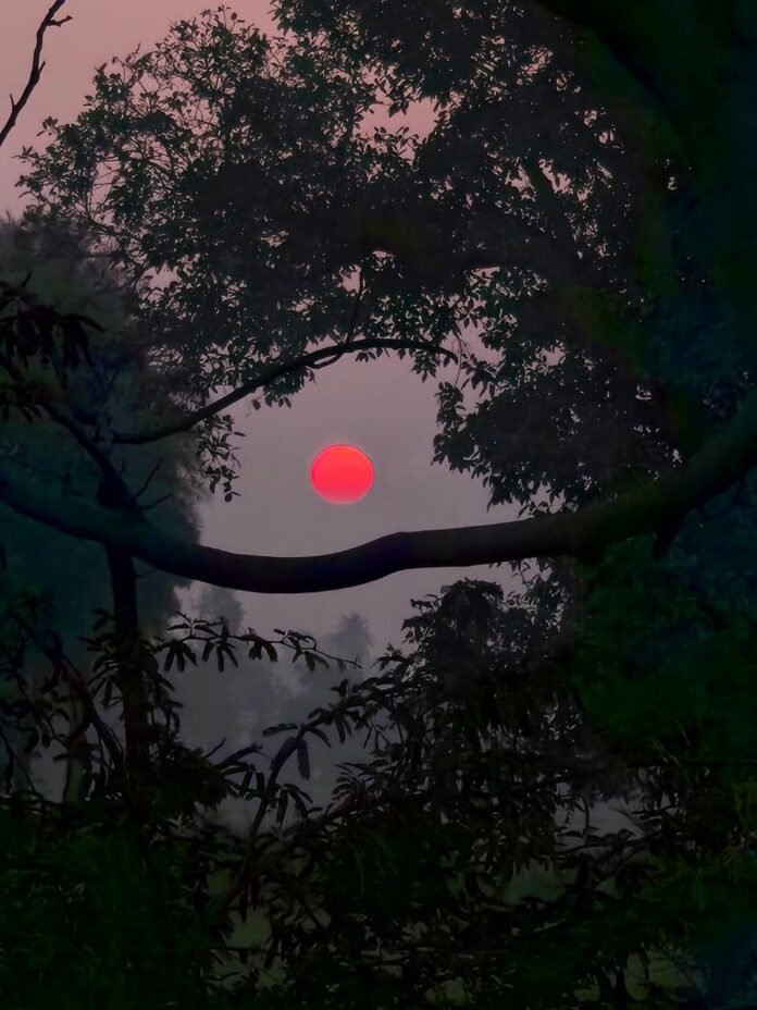 whatsapp image 2025 12 24 at 09.49.15 whatsapp image 2025 12 24 at 09.49.15