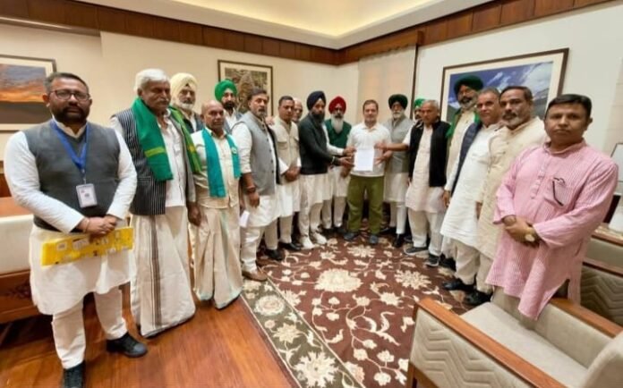 whatsapp image 2026 02 14 at 09.36.35 whatsapp image 2026 02 14 at 09.36.35